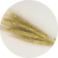 Farine  de seigle